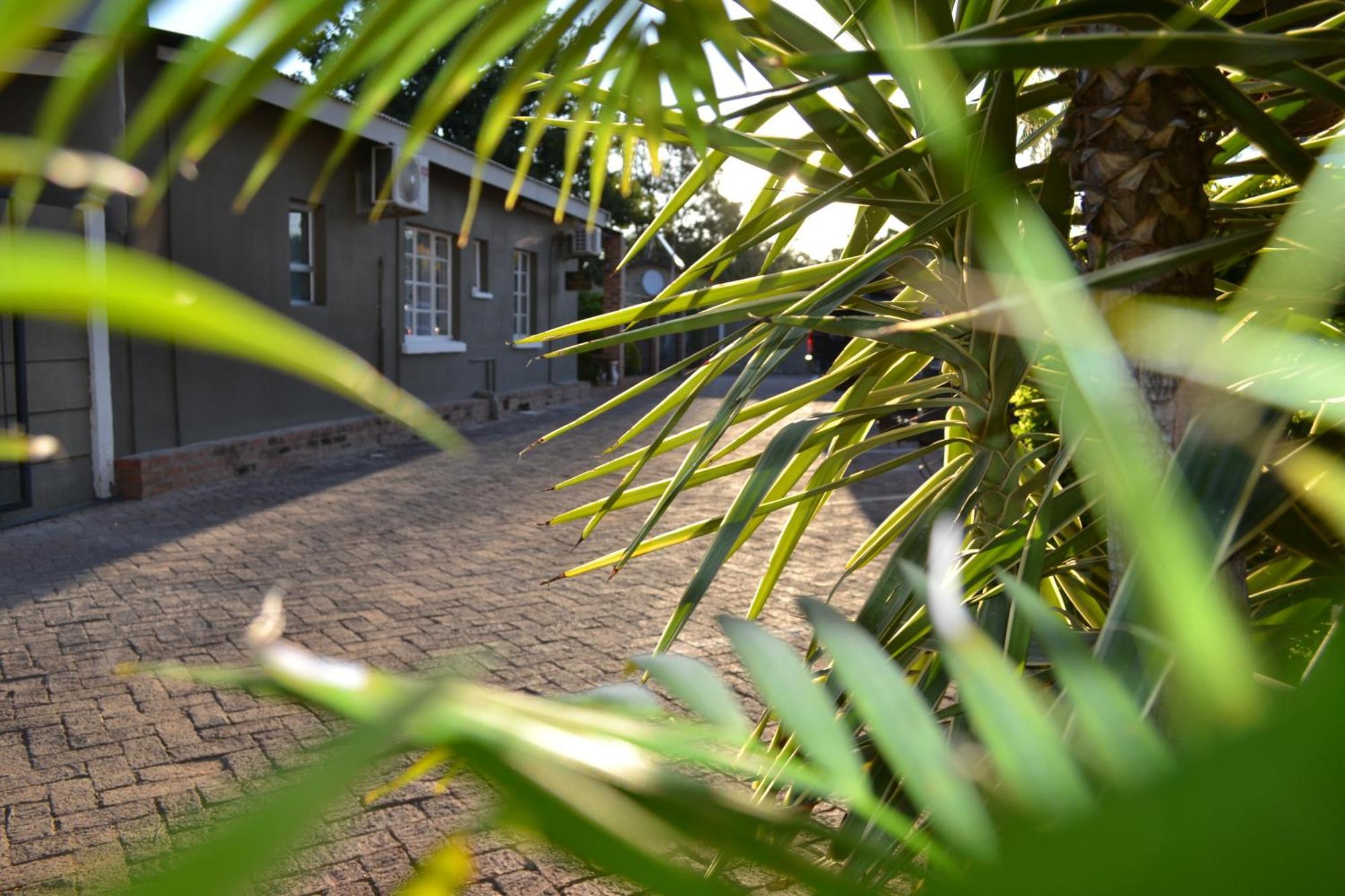 Travel North Guesthouse Tsumeb Exterior photo